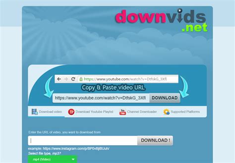 7 Free Alternatives to Savefrom.net for Downloading Online Videos